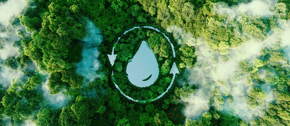 Immagine novità in apertura