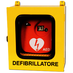 DEFIBRILLATORE 